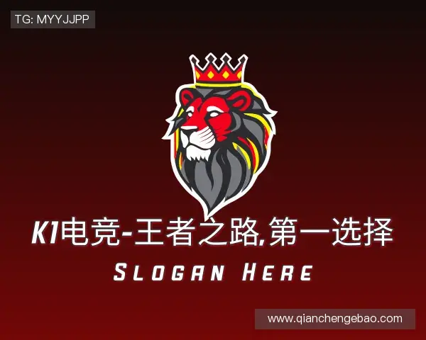介绍k1电竞